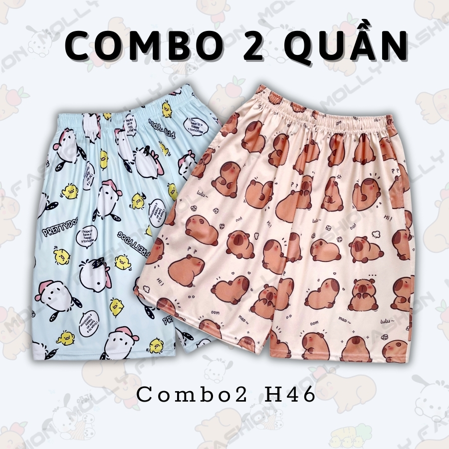 Combo2 H46
