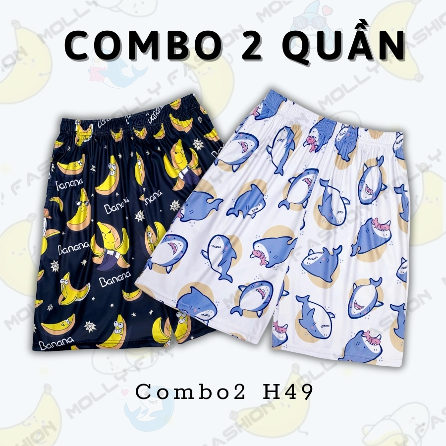 Combo2 H49