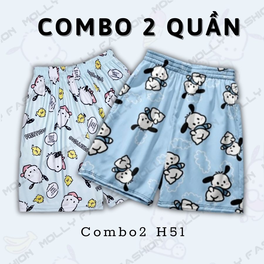 Combo2 H51