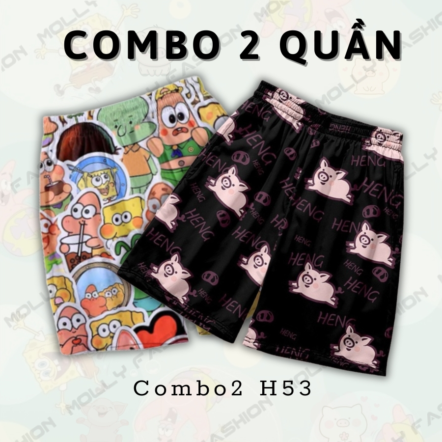 Combo2 H53