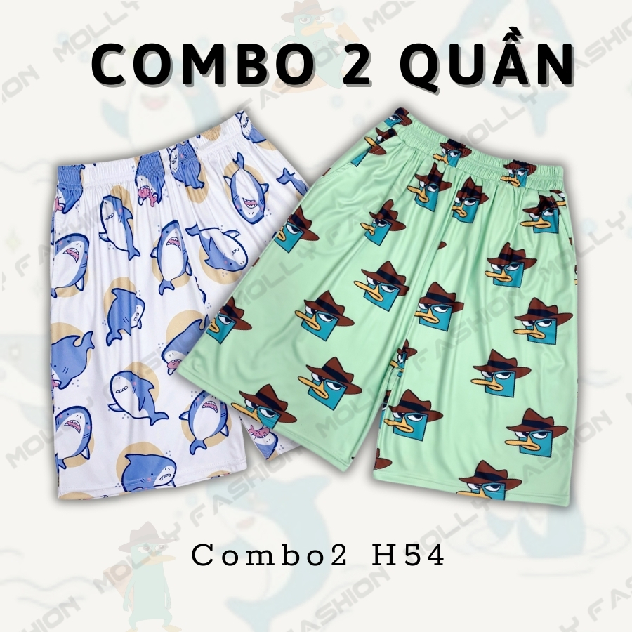 Combo2 H54