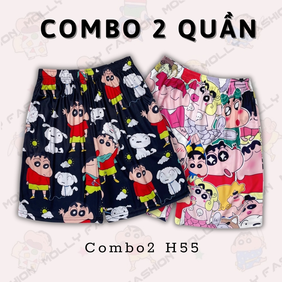 Combo2 H55