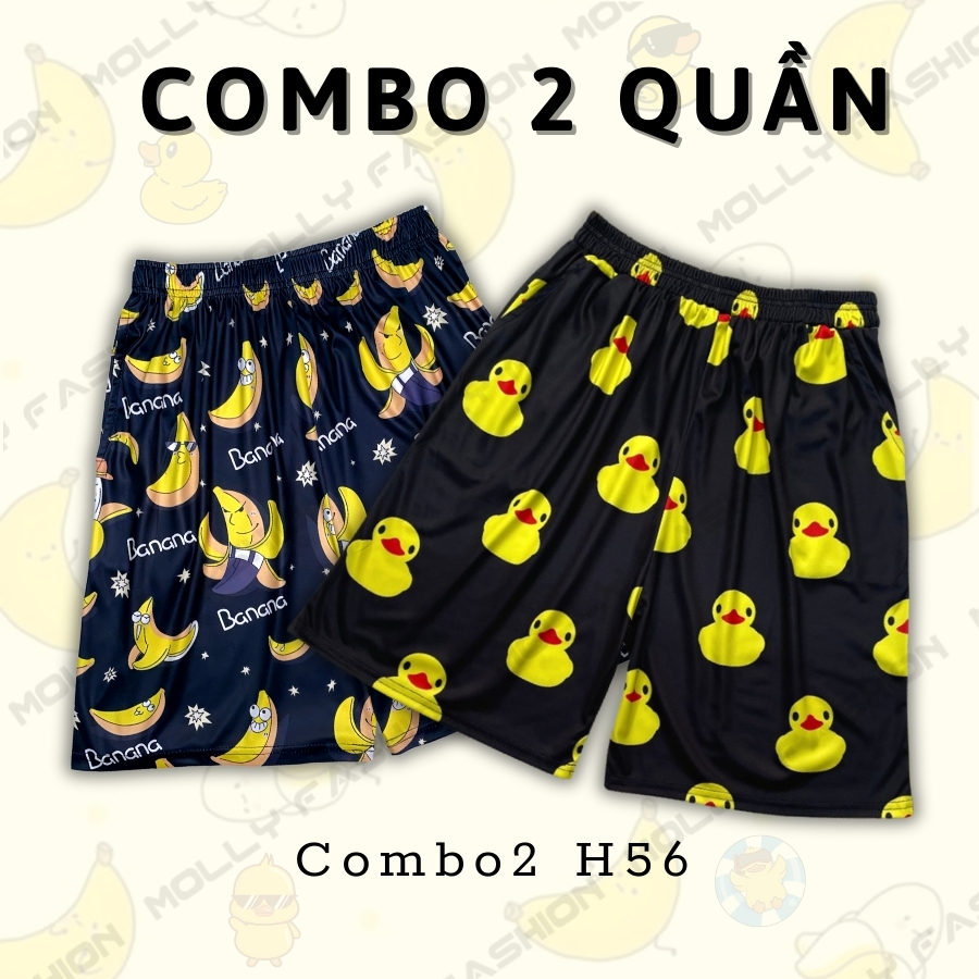Combo2 H56