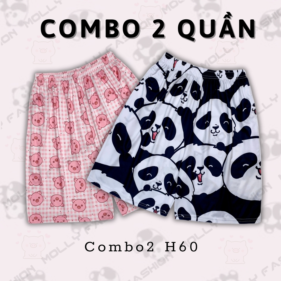 Combo2 H60