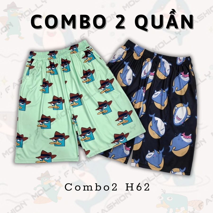 Combo2 H62