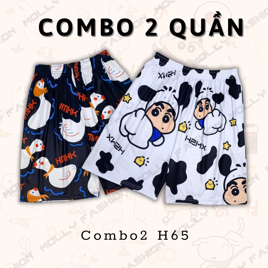 Combo2 H65