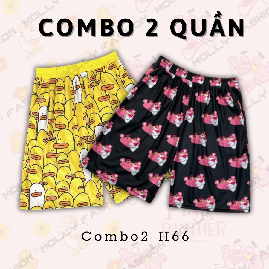 Combo2 H66
