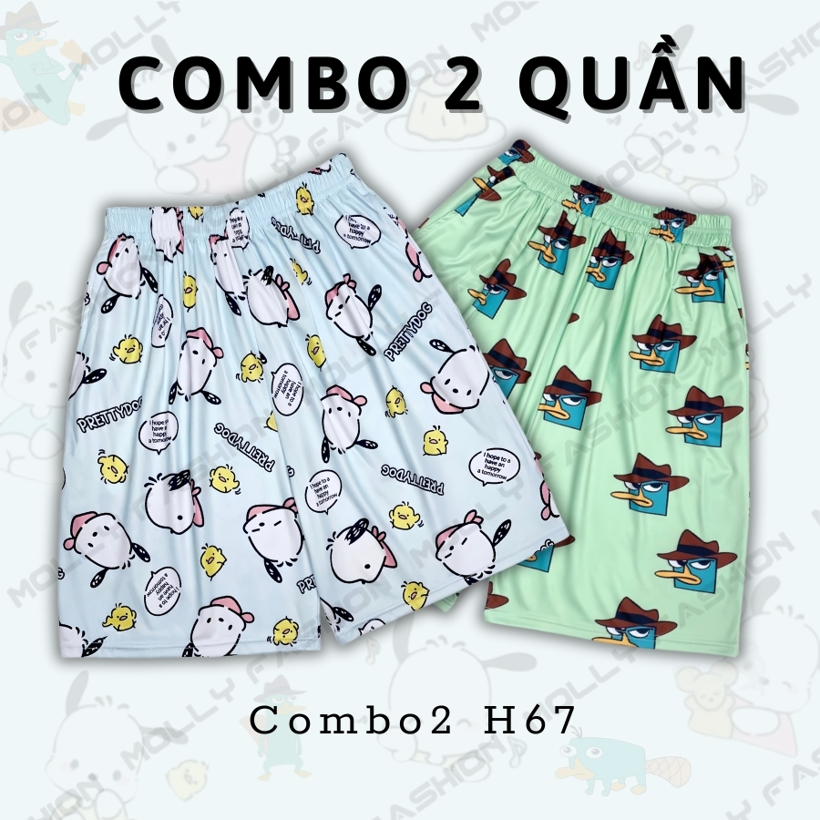 Combo2 H67