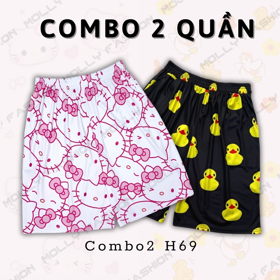 Combo2 H69