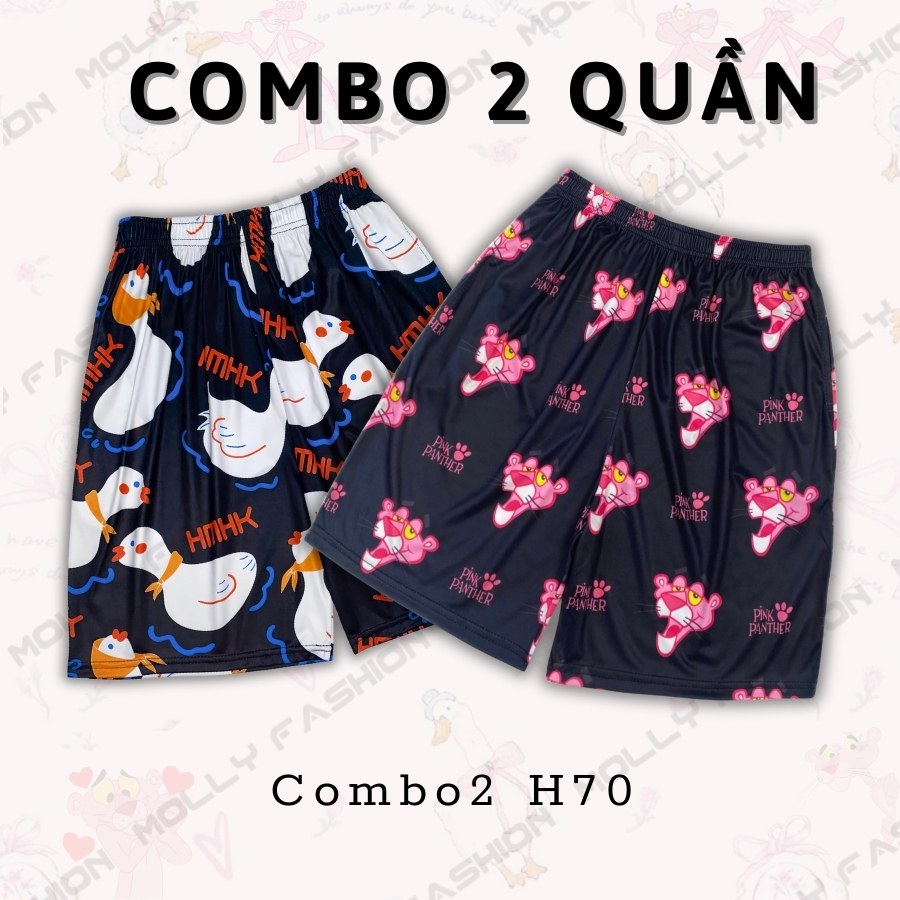Combo2 H70