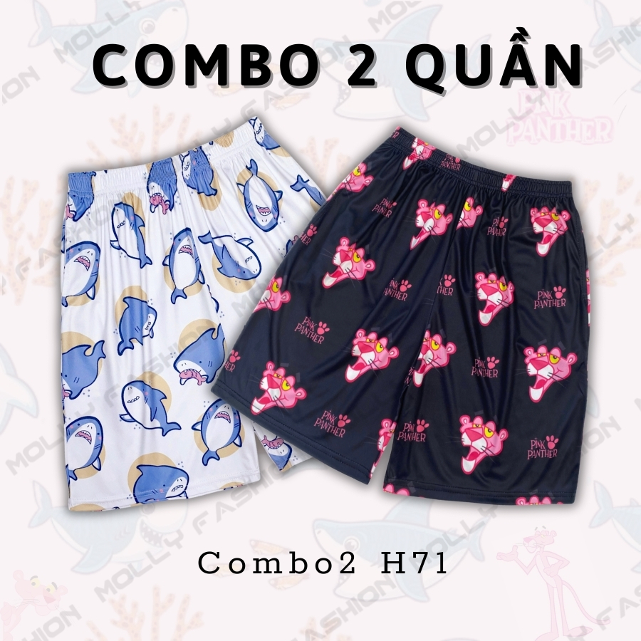 Combo2 H71