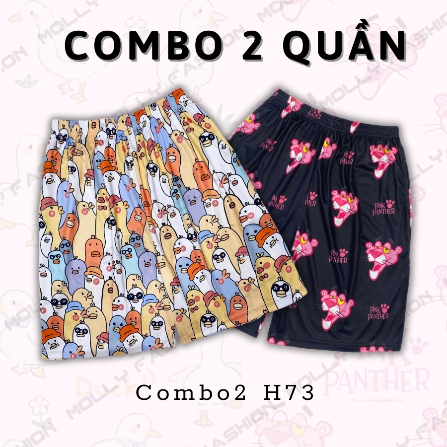 Combo2 H73