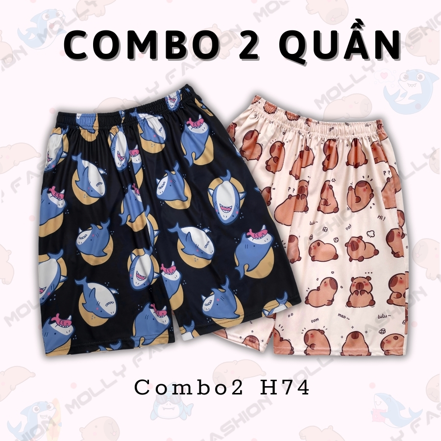 Combo2 H74