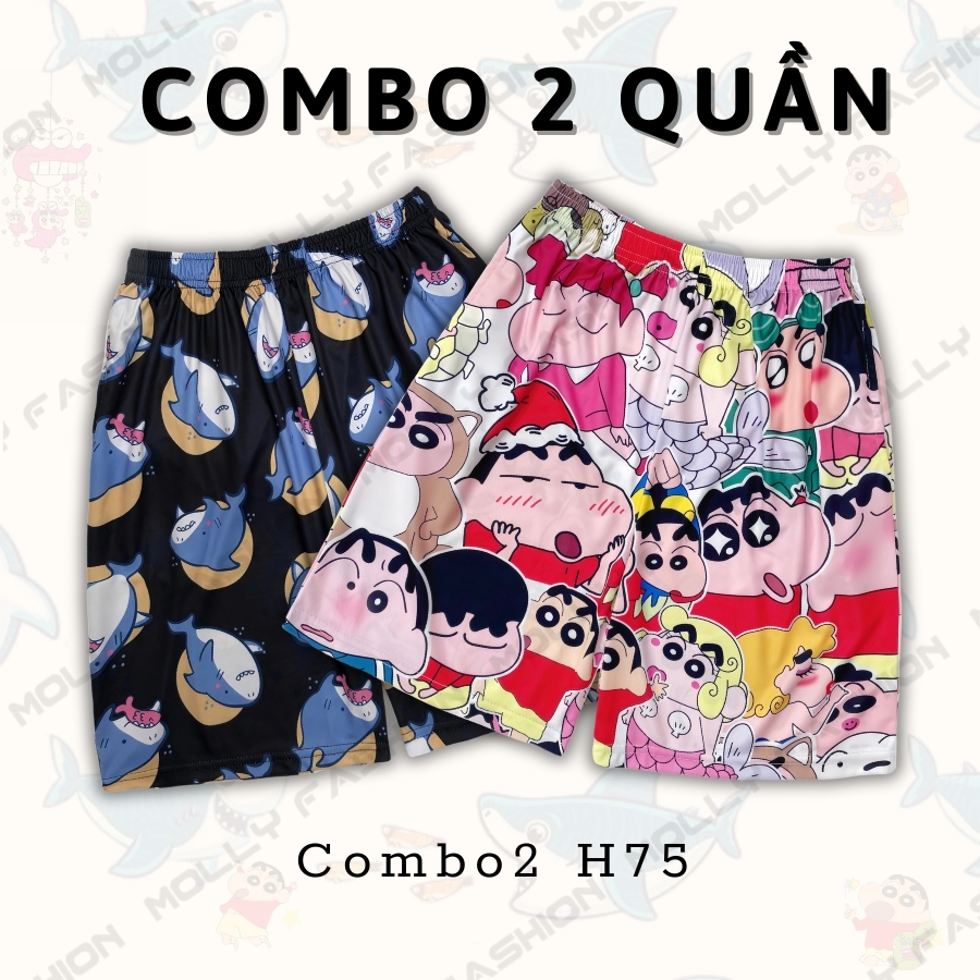 Combo2 H75