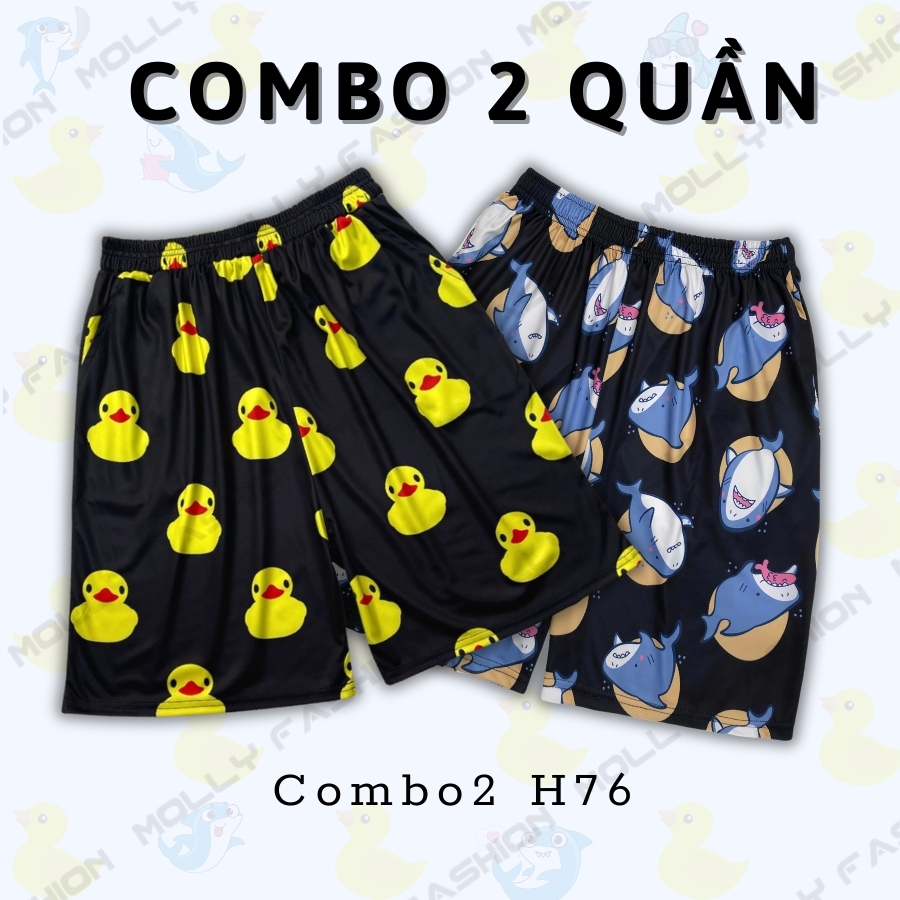 Combo2 H76