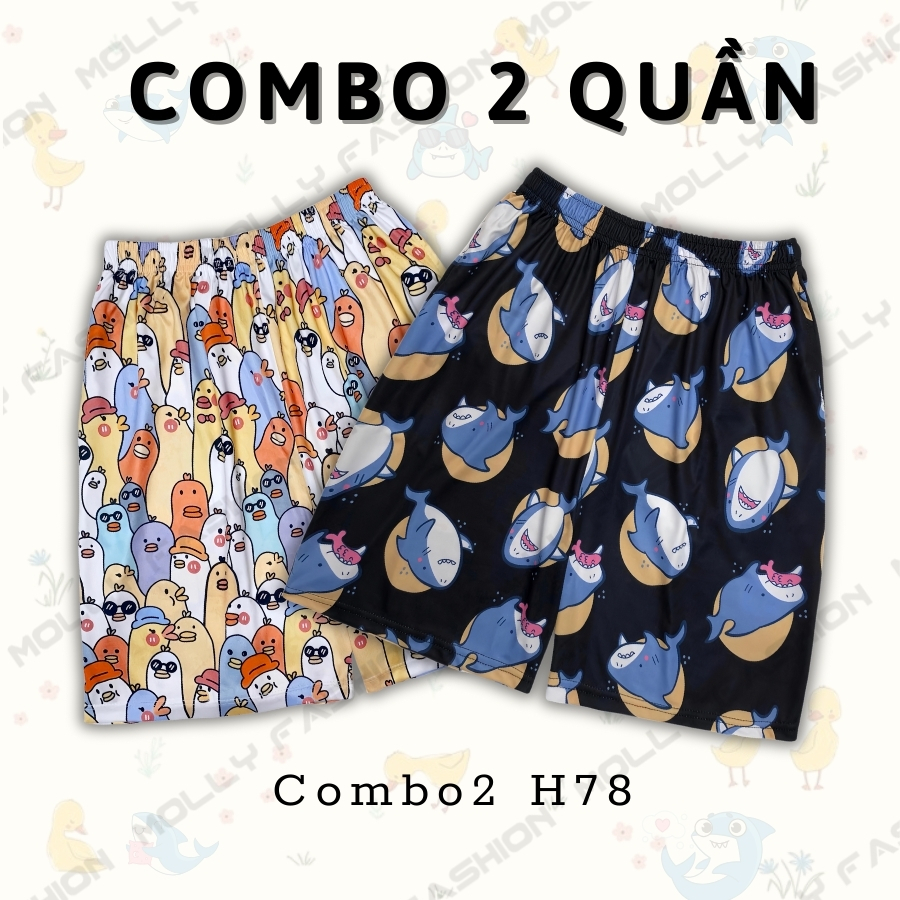 Combo2 H78