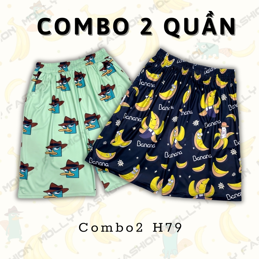 Combo2 H79