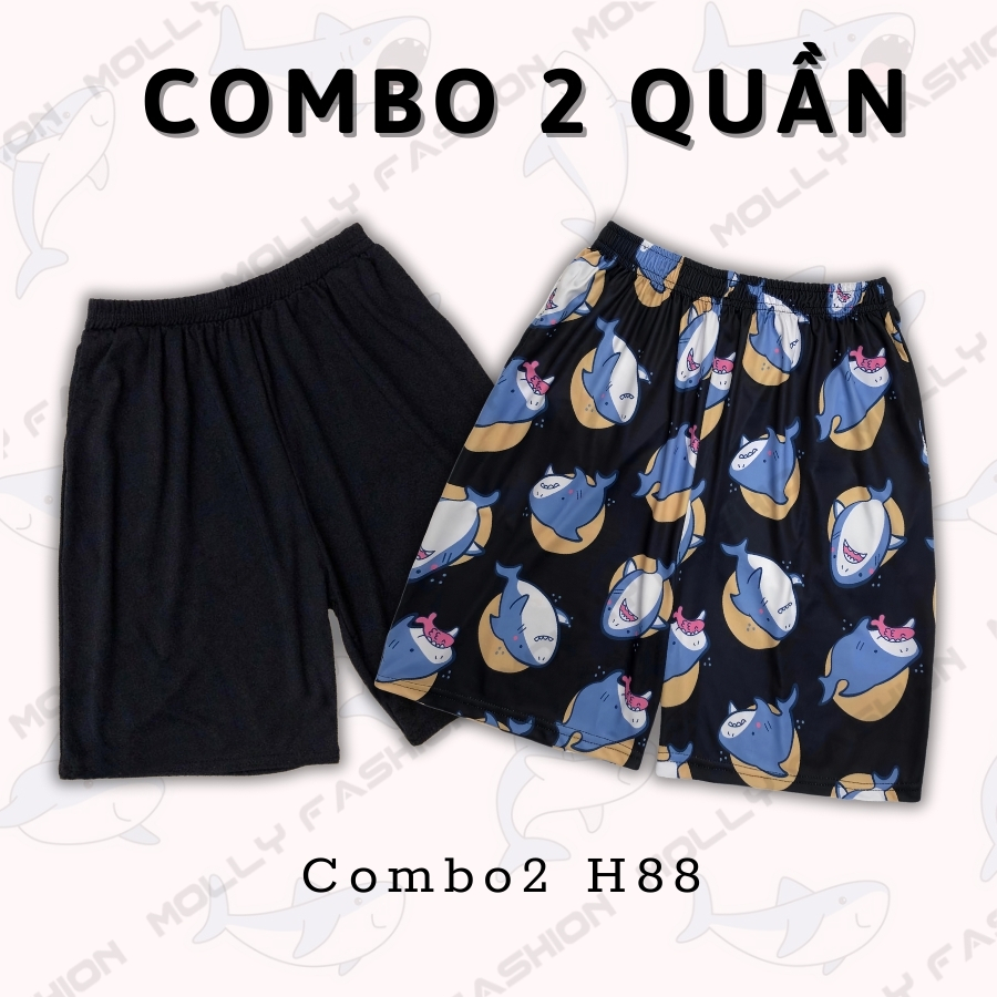 Combo2 H88