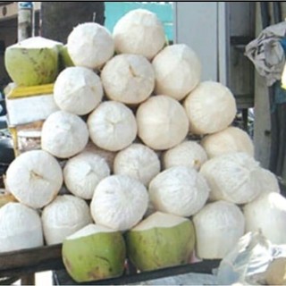 Combo bột rửa vỏ dừa 2kg, sạch vỏ dừa tươi, an toàn sử dụng Làm Sạch