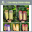 Combo 20 Cái Bánh Bông Lan Tam Giác OLABAB Chính Hãng Thơm Ngon, Bổ Dưỡng, Thay Thế Bữa Ăn Sáng