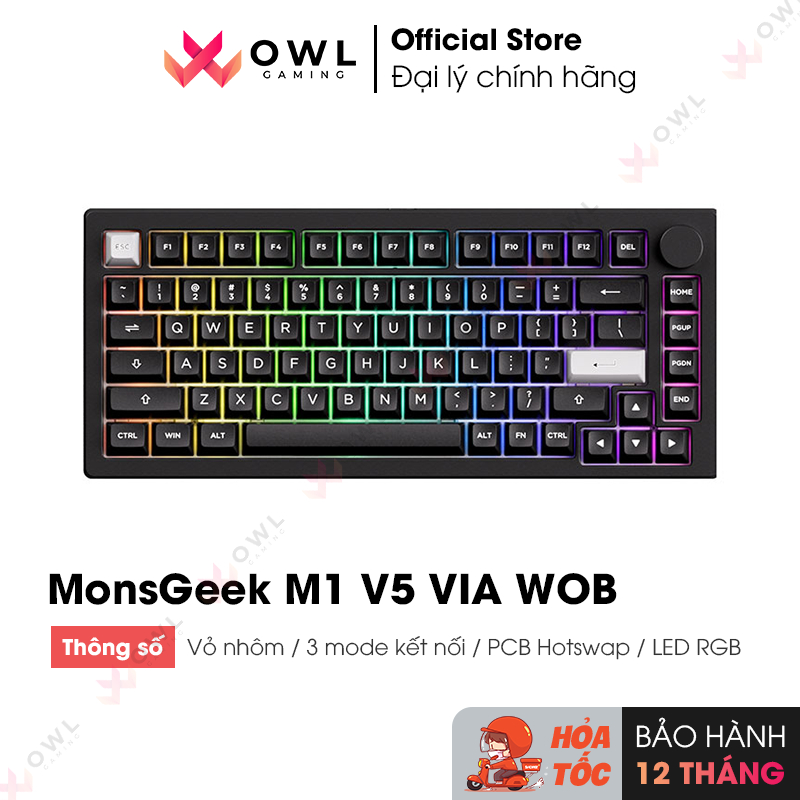 Bàn phím cơ MonsGeek M1 V5 VIA White On Black (RGB / Aluminum ...