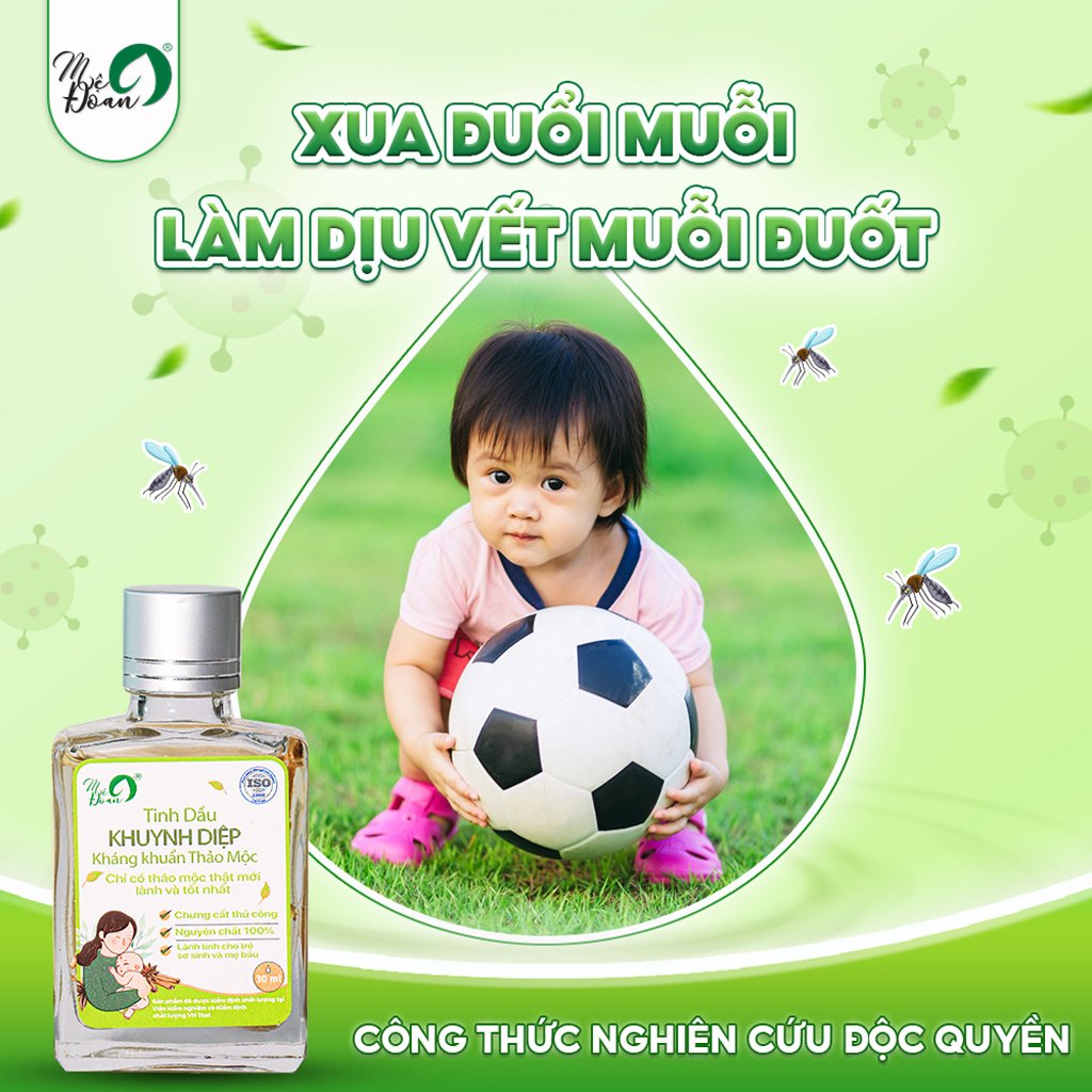 Ảnh Tinh dầu khuynh diệp thảo mộc Mệ Đoan 30ml, công thức độc quyền cho mẹ và bé 2