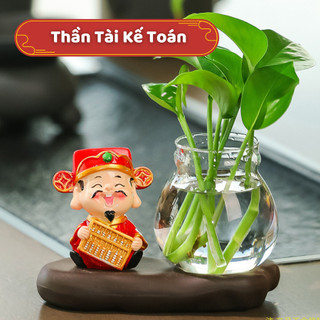 Bình Thủy Canh Ông Thần Tài Năm Mới - Mang Lộc Phát, Thanh Lọc Không Khí, Trang Trí Phong Thủy
