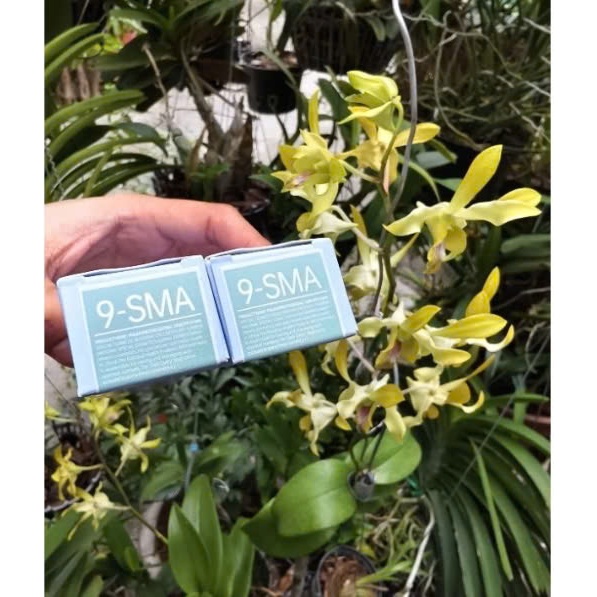 Thuốc Nhuộm Tóc POLAN (Nội Địa Trung) | Made in China | 90ml