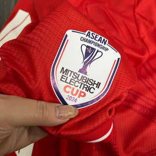 Quần Áo Bóng Đá, Áo Đá Banh ĐT Việt Nam AFF - Áo Xuan Son 2024