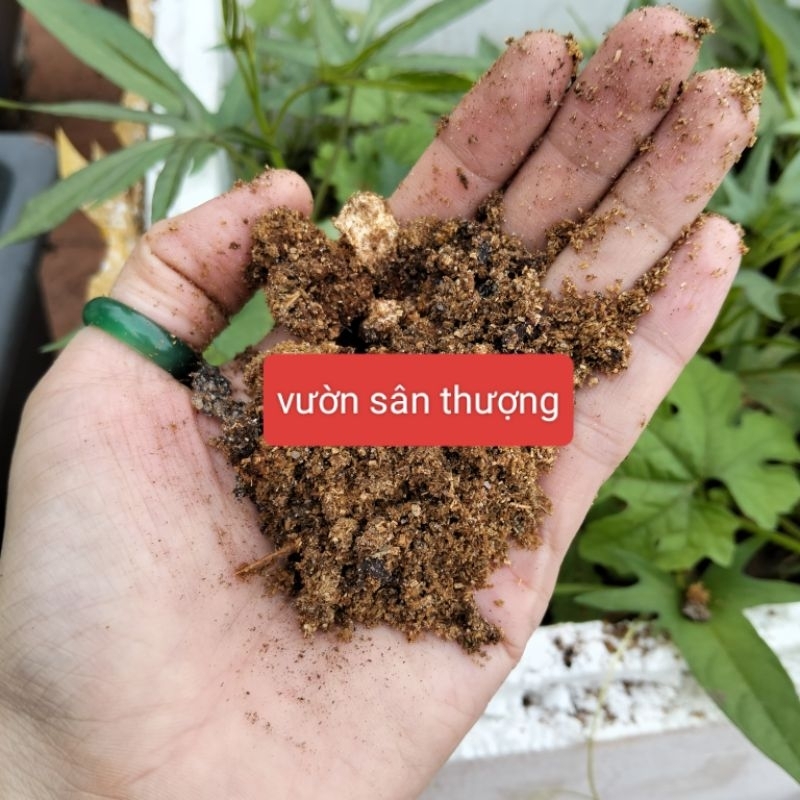 Phôi Nấm Thải, Giá Thể Trộn Trồng Cây, Nguyên Liệu Trồng Nấm Rơm