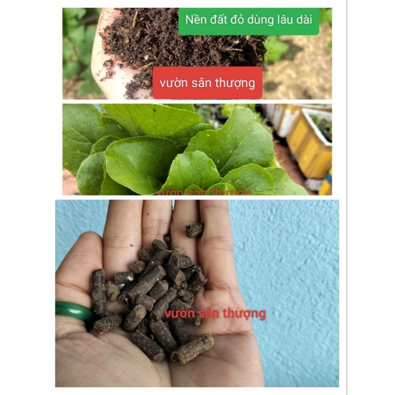 Bao 25kg Phân Hữu Cơ Hà Lan Fertiplus 65 Om
