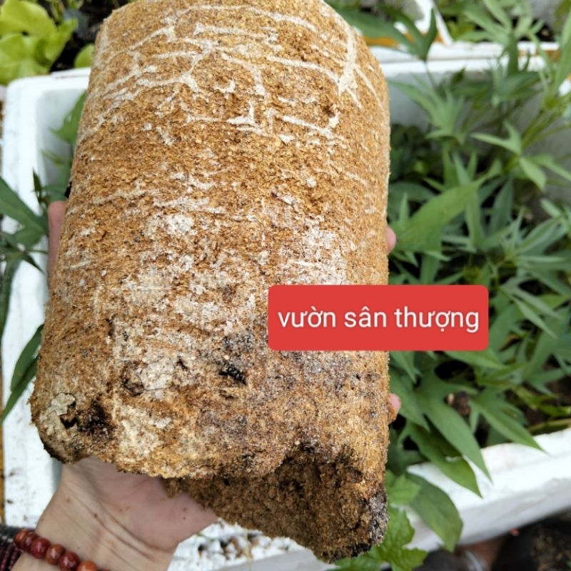 Phôi Nấm Thải, Giá Thể Trộn Trồng Cây, Nguyên Liệu Trồng Nấm Rơm