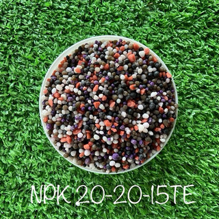 Phân bón NPK 20-20-15+TE (tan nhanh) chuyên rau màu, cây ăn trái, cây cảnh - Gói 500gr, 1kg