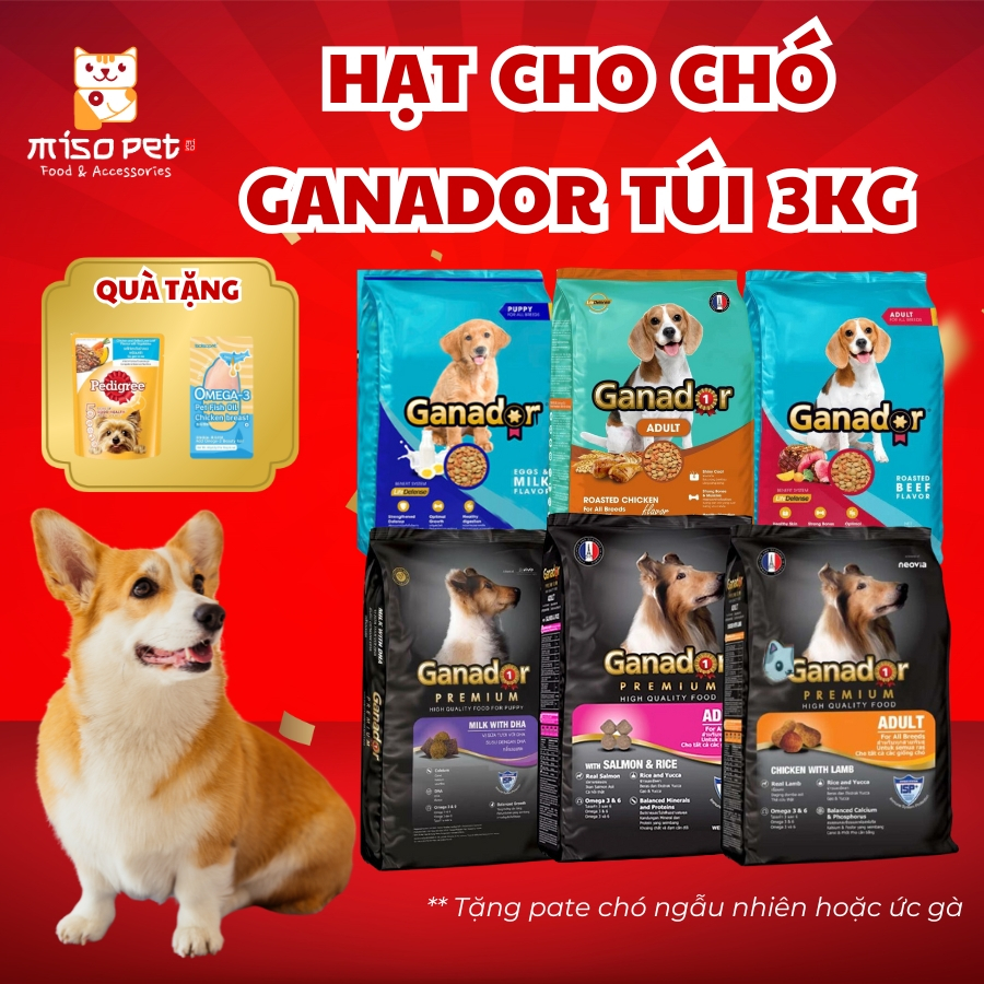 (3KG CÓ QUÀ TẶNG) Thức ăn hạt cho Chó con, Chó trưởng thành Ganador ...