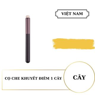 Cọ che phủ khuyết điểm cao cấp dành cho giới trẻ Việt Nam