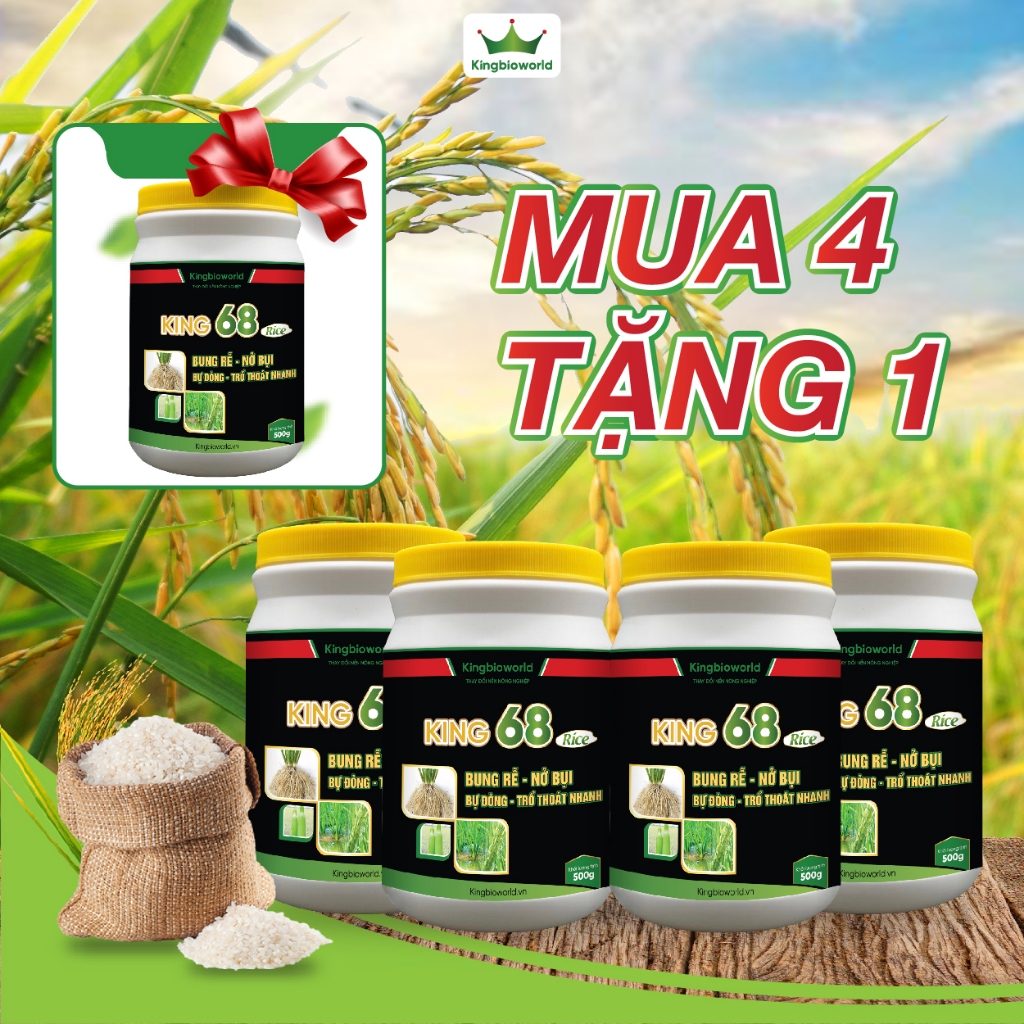 Combo 4 phân bón King 68 rice 500g kích rễ, nở bụi to, bự đòng trổ, hạn ...