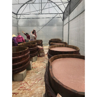 Combo 2 chai mắm tép (mỗi chai 1,2kg) Ba Làng Vinh việt - Thanh Hoá