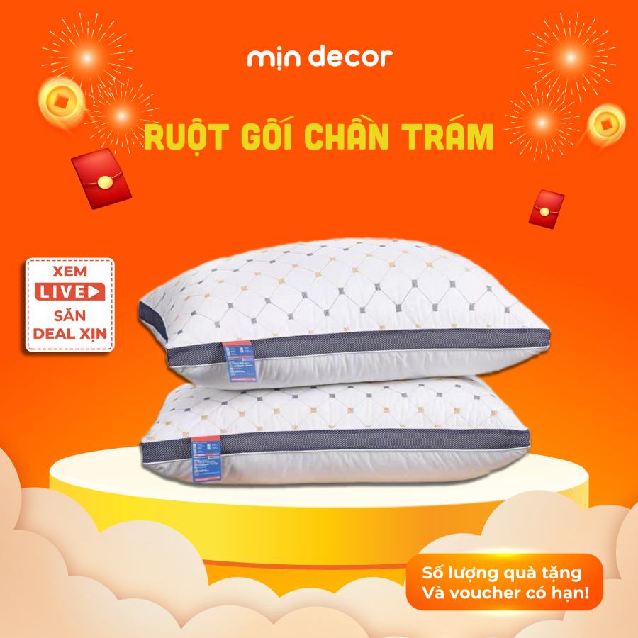 Ảnh Ruột Gối Chần Trám Mịn Decor Form Cao Mềm Êm Kích Thước 50x70cm 3