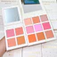 Bảng má 9 ô Moonslice, sản phẩm chuyên nghiệp dành cho các nghệ sĩ Make up