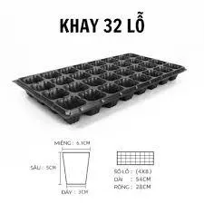 Khay Ươm Hạt Giống 32 Lỗ và 50 Lỗ - Nhựa dày, chịu nhiệt, phù hợp ươm: rau cải, xà lách, rau ăn lá - Hạt giống Rạng Đông