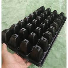 Khay Ươm Hạt Giống 32 Lỗ và 50 Lỗ - Nhựa dày, chịu nhiệt, phù hợp ươm: rau cải, xà lách, rau ăn lá - Hạt giống Rạng Đông