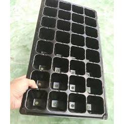 Khay Ươm Hạt Giống 32 Lỗ và 50 Lỗ - Nhựa dày, chịu nhiệt, phù hợp ươm: rau cải, xà lách, rau ăn lá - Hạt giống Rạng Đông
