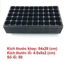 Khay Ươm Hạt Giống 32 Lỗ và 50 Lỗ - Nhựa dày, chịu nhiệt, phù hợp ươm: rau cải, xà lách, rau ăn lá - Hạt giống Rạng Đông