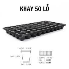 Khay Ươm Hạt Giống 32 Lỗ và 50 Lỗ - Nhựa dày, chịu nhiệt, phù hợp ươm: rau cải, xà lách, rau ăn lá - Hạt giống Rạng Đông
