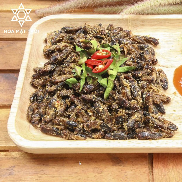 [SỈ TOÀN QUỐC] Dế Sữa Rang Muối Ăn Liền 3 Vị - Hồng Kông, Wasabi, Tom Yum - Món Ăn - Hoa Mặt Trời Farm