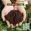 Phân trùn quế cao cấp Sfarm Pb01 - Bao 10kg - Đã qua xử lý