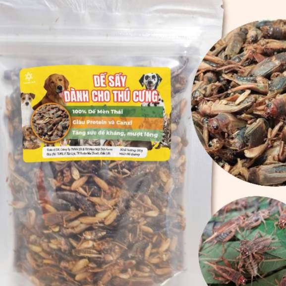 Dế Sấy Khô Làm Thức Ăn Cho Pet – Chó Mèo, Các Loài Thú Cưng, Bò Sát, Chuột Hamster, Chim, Cá, Ếch Và Rùa