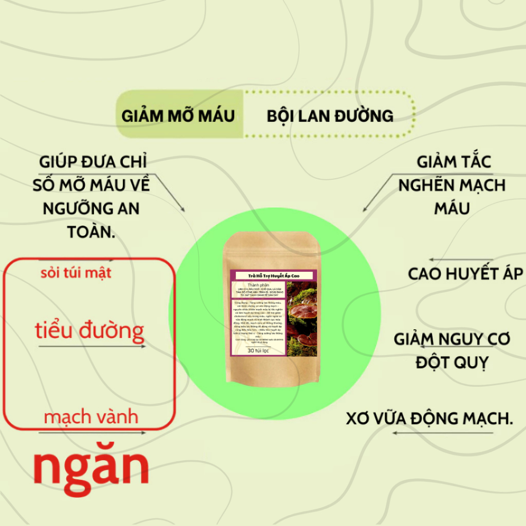 Thiết kế của Lọ Thanh