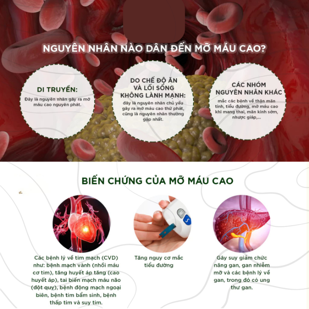 Thanh Tiêu Chuẩn - trà thanh lọcơ thể