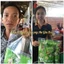 Bảo An Trà (3 gói) trà bảo an hỗ trợ dễ ngủ, giải độc mát gan, tiêu hóa tốt